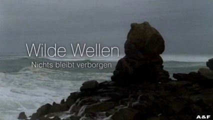 Wilde Wellen -04- Die Erlösung: Ein packendes Abenteuer