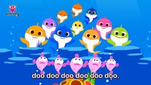 Best Buddies of Baby Shark - More Songs Compilation Songs for Kids Pinkfong