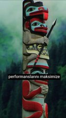 Niximera Bütçe Dostu