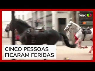 Cavalos fogem e deixam feridos no centro de Londres