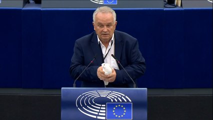 Un eurodiputado suelta una paloma en el Parlamento Europeo para pedir la paz