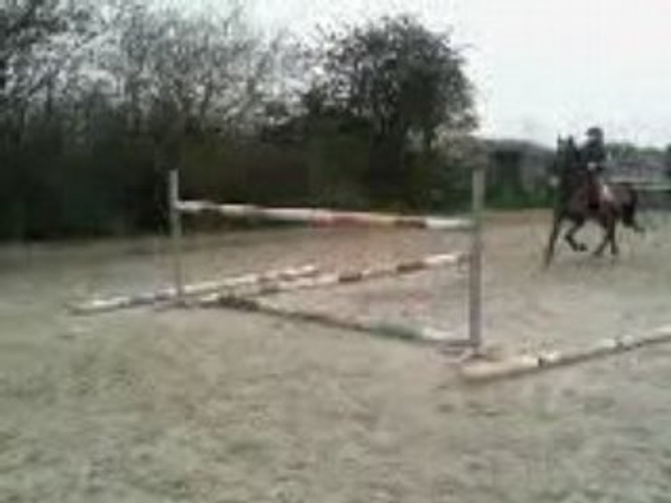 elecktro 1m30 obstacle