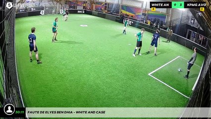 Faute de Elyes BEN DHIA - WHITE AND CASE