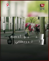 خيول للجيش البريطاني تركض وسط لندن متسببه في إصابة أربع أشخاص