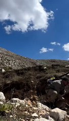 Dereye düşen tayın imdadına koşup, şahane bir aile kavuşmasına vesile olmak