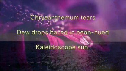 Poems about Nature _ Poems in English