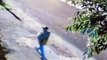 Câmera de Segurança registra abandono de dois gatos e cachorro no Morumbi