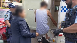Seven juvenile males arrested in anti-terror raids across Sydney