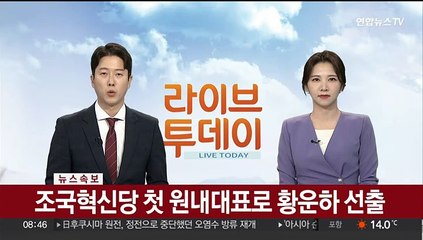 [속보] 조국혁신당 첫 원내대표로 황운하 선출