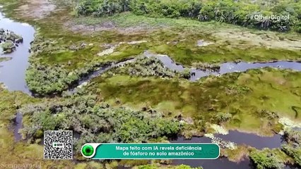 Mapa feito com IA revela deficiência de fósforo no solo amazônico