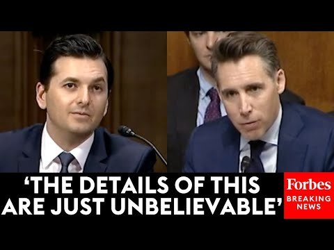 Josh Hawley Questions Witness About His 'Nightmare Scenario' During Senate Judiciary Hearing