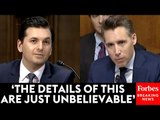 Josh Hawley Questions Witness About His 'Nightmare Scenario' During Senate Judiciary Hearing