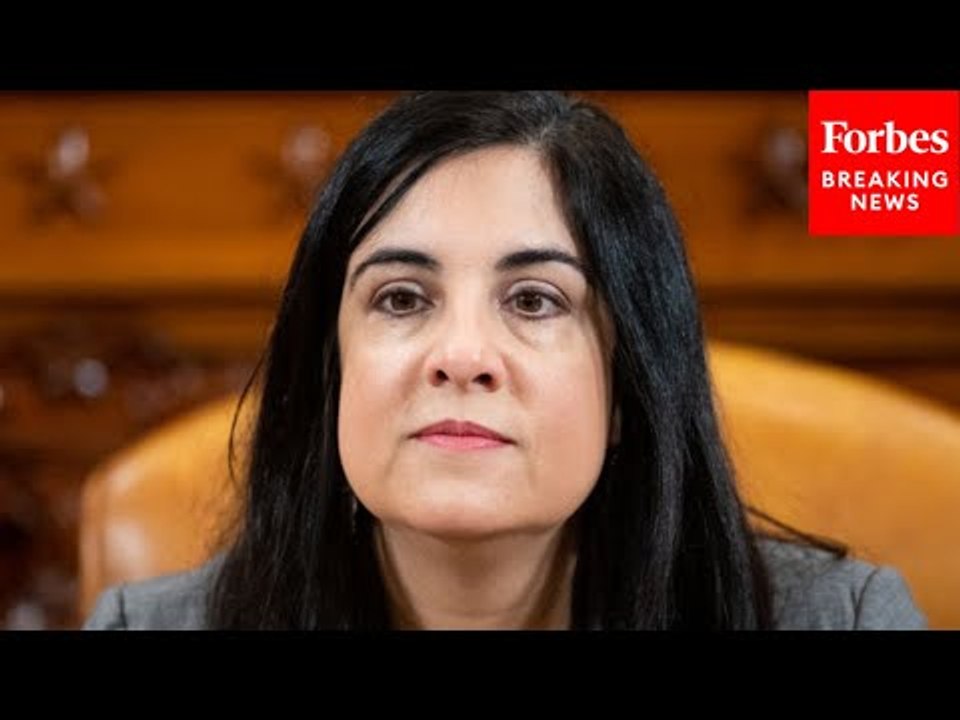 Malliotakis Presses Key Biden Official On Secur...