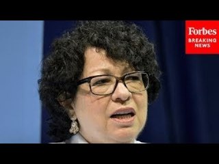 Lawyer Tells Sotomayor: I Want To 'Live In A World Where Separating Someone From Their Pet Is Cruel’