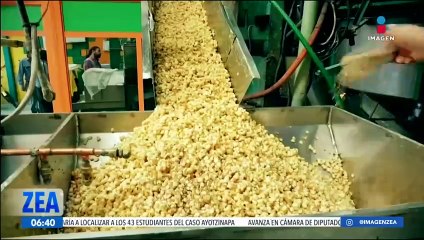 Campesino crea gas a base del nopal