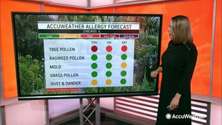 How will pollen levels affect my allergies this weekend?