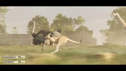SPEED COMPARISON 3D | Animals 
