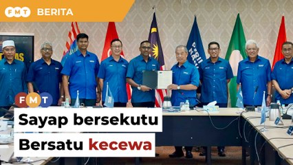Sayap bersekutu Bersatu kecewa MIPP sertai PN, kata sumber