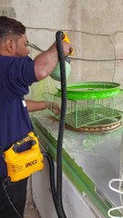 Handy spray paint machine