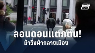ม้าทหารหลุดวิ่งกลางกรุงลอนดอน ชนรถ เจ็บ 4 คน | ข่าวต่างประเทศ | PPTV Online