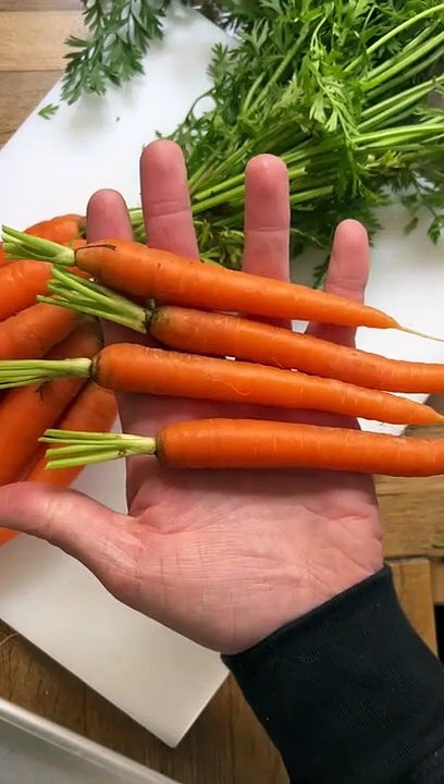 Purée de carotte au gingembre, carottes et blettes rôties