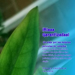 Moises Shemaria Capuano | ¡Risas Garantizadas! (Parte 1) (Creado por @MoisesShemariaCapuano)