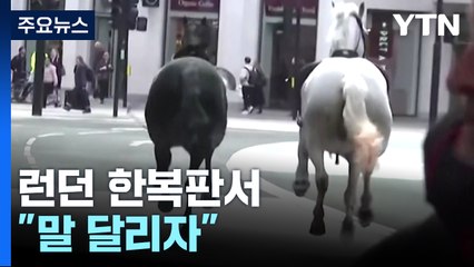 런던 한복판에서 질주 소동 "말 달리자" / YTN