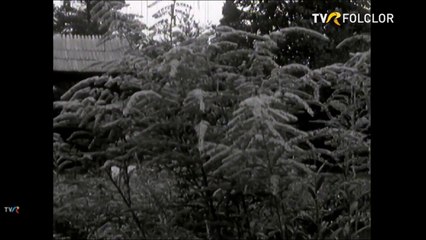 Maria Apostol - Cand imi vine dor de gura (arhiva TVR)