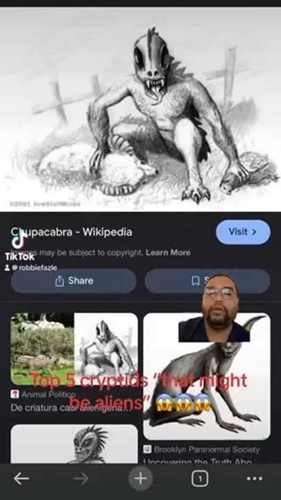 Top 5 Cryptids that might be aliens 
