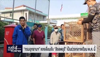 "กรมอุทยานฯ" แจงเลื่อนจับ "ลิงลพบุรี" | เนชั่นทั่วไทย | 24-เม.ย.-67 | PART3