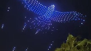 Drone show in Abu Dhabi - giant falcon
