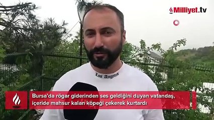 Rögara düşen köpeği böyle kurtardı... O anları anlattı
