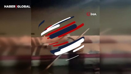 Yer Diyarbakır: Su samuru havuzdaki balıkları böyle yedi