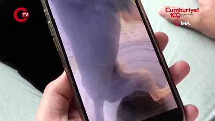 Rögara düşen köpeği böyle kurtardı...O anları anlattı