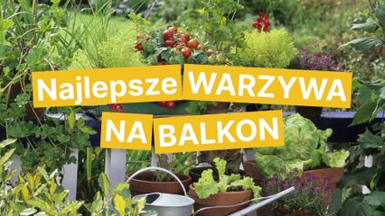 Najlepsze warzywa na balkon