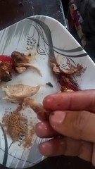 I eating chicken at hotel | my another vlogs
