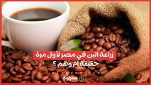 زراعة البن في مصر لأول مرة  .. حقيقة ام وهم ؟