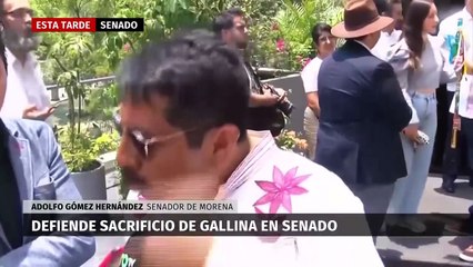 Iglesia Católica pide alto a la narcocultura por polémica playera. Paola Barquet, 24 de abril 2024