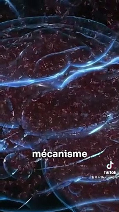 Anxiété ou Dépersonnalisation? Les étiquettes de l'angoisse 