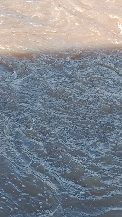 Water Rapid