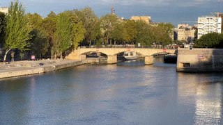 Fish return to the Seine as water quality improves