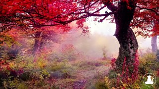 30 Minutes  Relaxing Meditation Music • Inspiring Music, Sleep  and calm anxiety (Red leaves) @432Hz