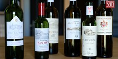 Primeurs de Bordeaux 2023 : quelles réussites à Pessac-Léognan ?