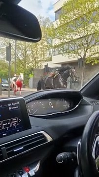 Watch: Household Cavalry horses run through the streets of central London