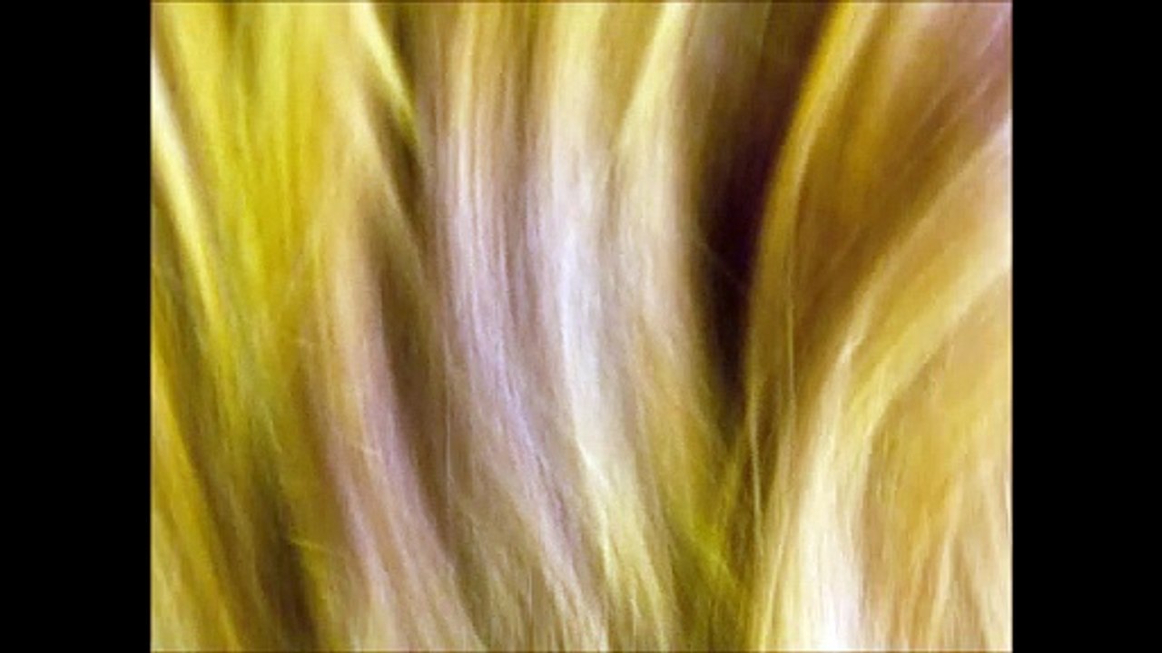 Blonde 2 - Les Mots d'Mouchoir