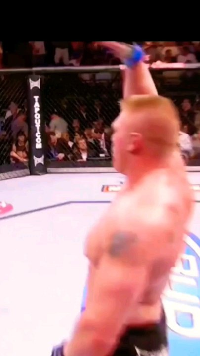 Jon Jones vs Brock Lesnar : le rêve 
