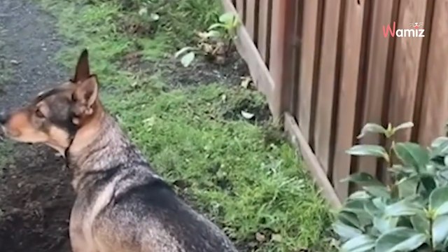 ✨ Une histoire d'amitié entre deux voisins pas comme les autres !