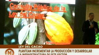 Miranda | Representantes del sector cacaotero debaten Ley del Cacao en busca de fortalecer el rubro