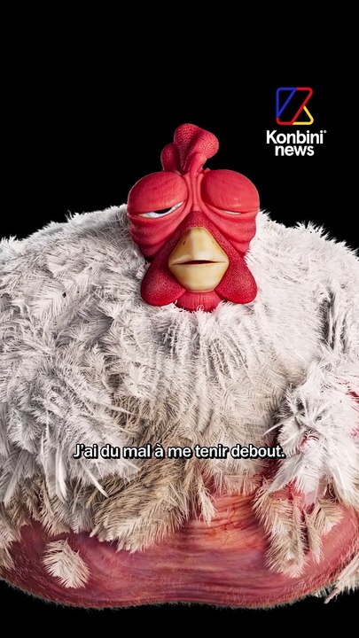 L214 : L'enfer des élevages intensifs, avec Ross Le Poulet | Speech