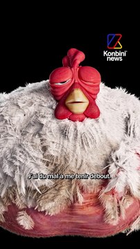 L214 : L'enfer des élevages intensifs, avec Ross Le Poulet | Speech